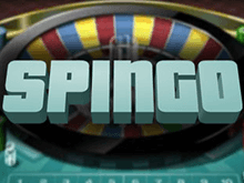 Spingo